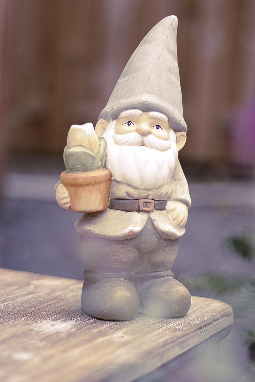 garden gnome, dwarf, nature, garden, fun, cute, imp, figure, deco, decoration, gnome, pointed hat, ceramic, garden decoration, decorative, garden design, horticulture, still life, flora, garden figure, beautiful, clay figure, ornament